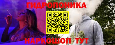 кокс Бийск