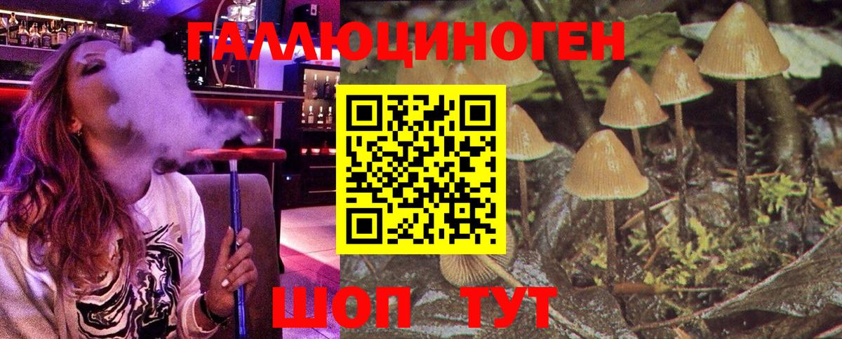 Ачхой-Мартан  Псилоцибиновые грибы Psilocybine cubensis  Галлюциногенные грибы мухоморы  Вход с VPN 